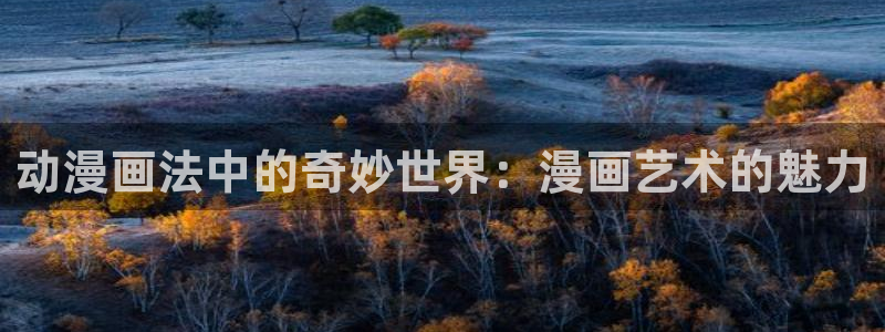 动漫之家软件下载：动漫画法中的奇妙世界：漫画艺术的魅力