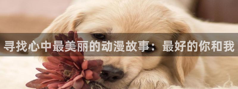 漫画 动漫之家：寻找心中最美丽的动漫故事：最好的你和我