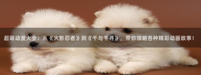动漫之家下载的漫画怎么导出：超萌动漫大全：从《火影忍者》到《千与千寻》，带你领略各种精彩动画故事！