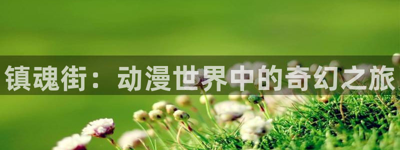 动漫之家免费下载：镇魂街：动漫世界中的奇幻之旅